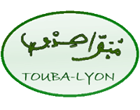 Logo Lyon